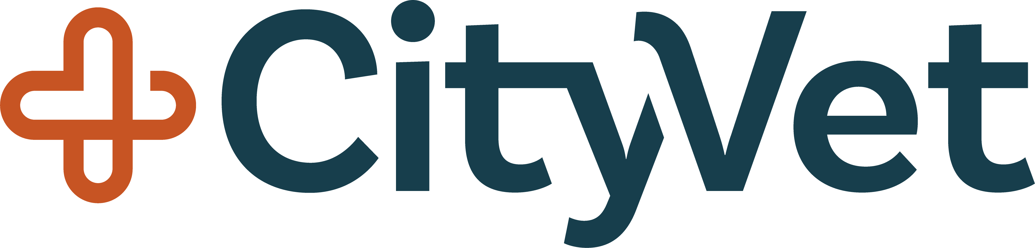 cv_logo_blueorange